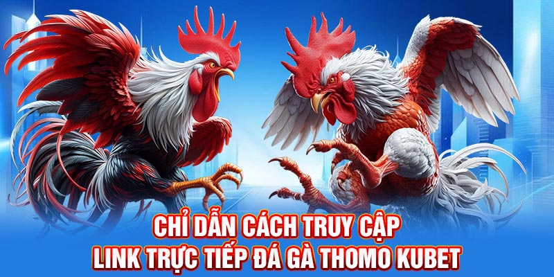 Chỉ dẫn cách truy cập link trực tiếp đá gà Thomo Kubet