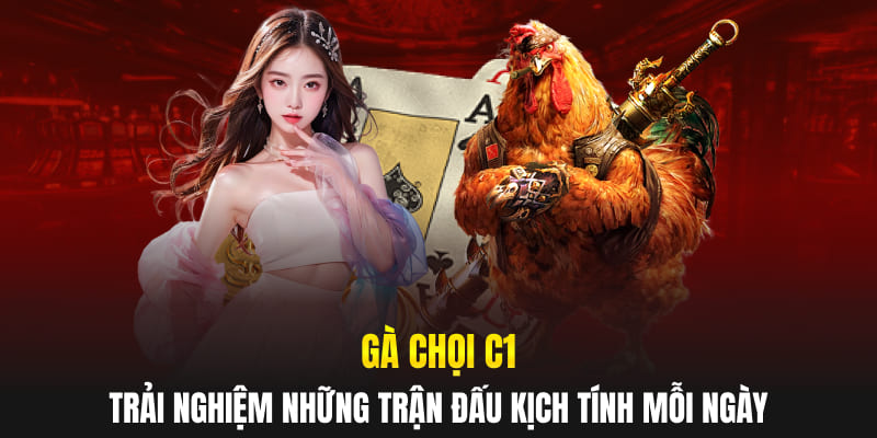 Gà Chọi C1 - Trải Nghiệm Những Trận Đấu Kịch Tính Mỗi Ngày