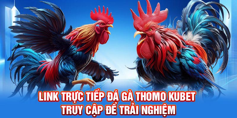 Link Trực Tiếp Đá Gà Thomo Kubet - Truy Cập Để Trải Nghiệm