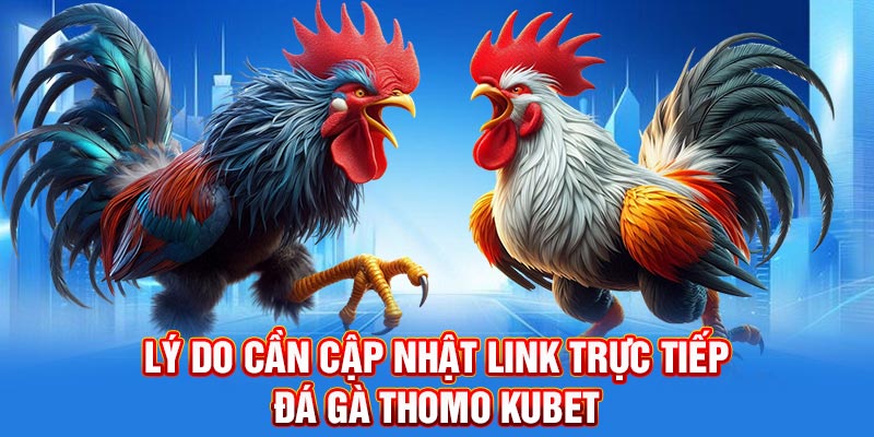 Lý do cần cập nhật link trực tiếp đá gà Thomo Kubet