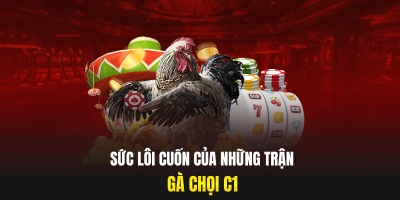 Sức lôi cuốn của những trận gà chọi C1