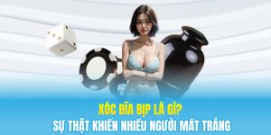 Xóc Đĩa Bịp Là Gì? Sự Thật Khiến Nhiều Người Mất Trắng